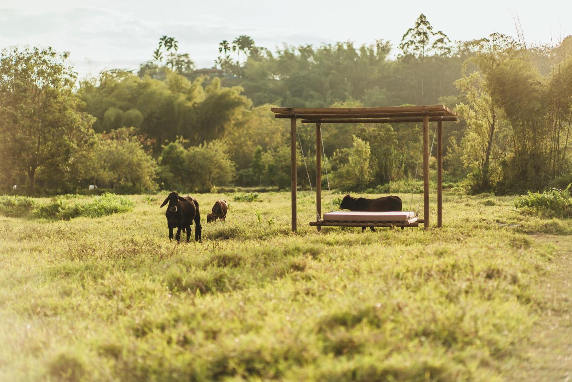 Отель Glamping Entre Rios Каларка Экстерьер фото