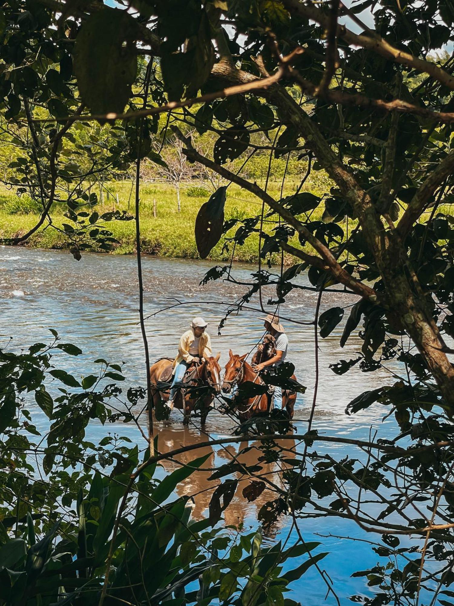 Отель Glamping Entre Rios Каларка Экстерьер фото